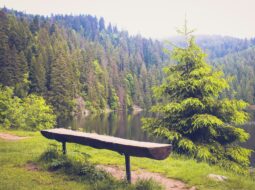 Untamed Places
