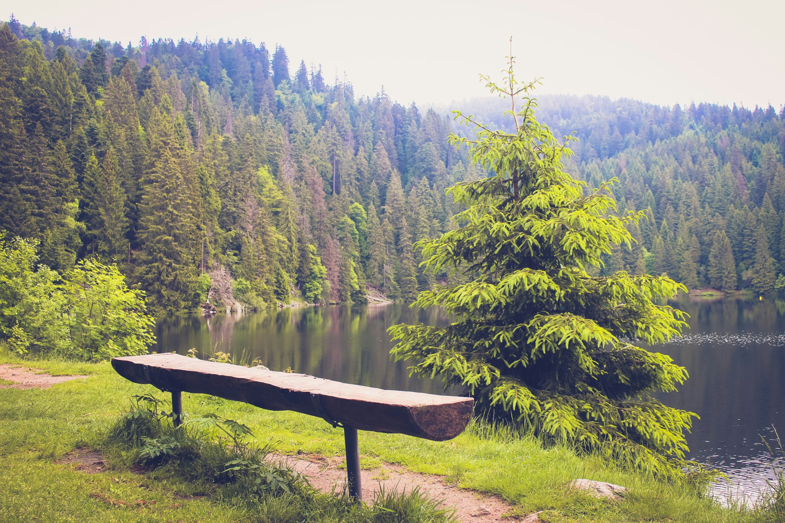 Untamed Places