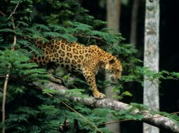 Corporate Responsibility